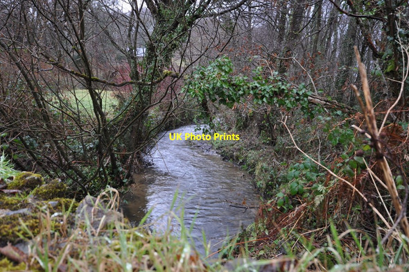 Photo 6"x4" The view upstream on the river Caen from a bridge on West Down Hill Boode c2010