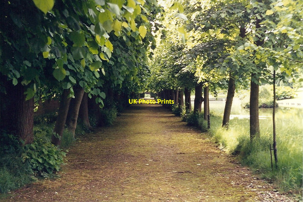 Photo 6"x4" Audley End, Saffron Walden, Essex Saffron Walden c1994 P1