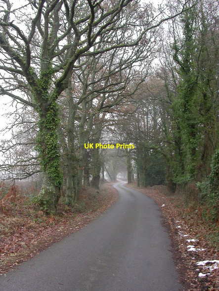 Photo 6"x4" Ashley, farm road Ringwood\/SU1505 c2010