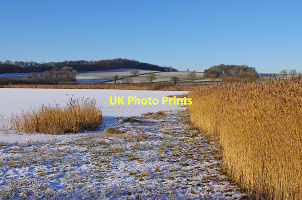 Photo 6"x4" Leighton Moss in winter Red Bridge c2010