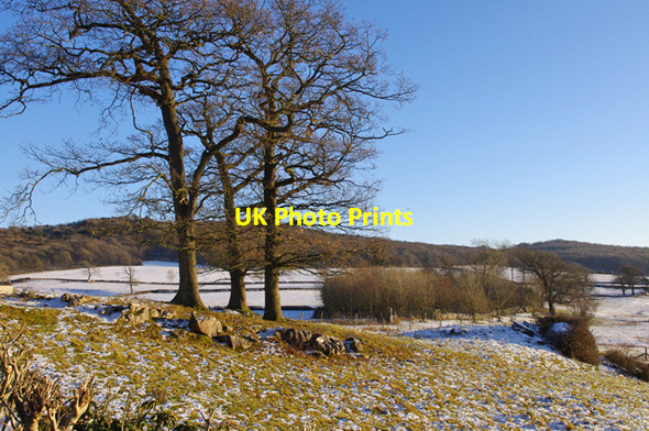 Photo 6"x4" Farmland south of Yealand Storrs Yealand Redmayne c2010