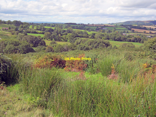 Photo 6"x4" Farmland west of Cleeton St Mary Cleeton St Mary c2010