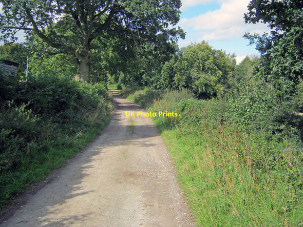 Photo 6"x4" Farm track at Chapelwood Farm Burwarton c2010