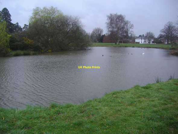 Photo 6"x4" Shalford village pond Shalford\/TQ0046 c2009