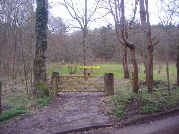 Photo 6"x4" Gate to field, Honeysuckle Bottom, Effingham East Horsley c2009