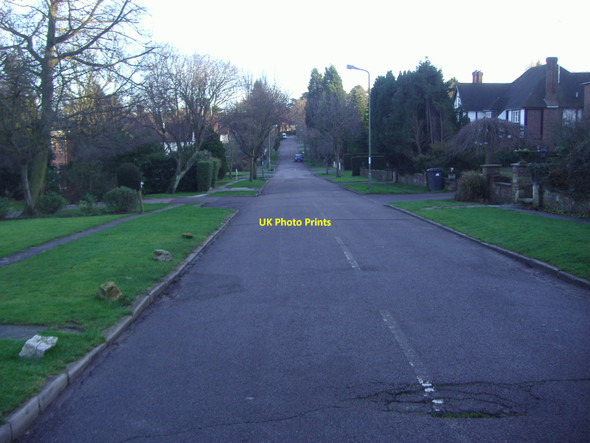 Photo 6"x4" Pine Grove, Totteridge Barnet c2008