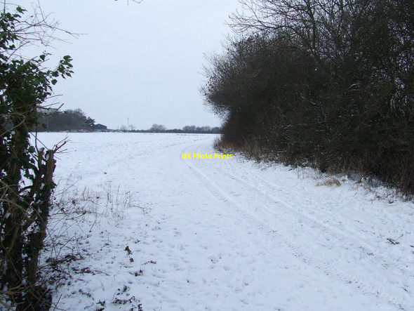 Photo 6"x4" Field Boundary Preston St Mary c2010