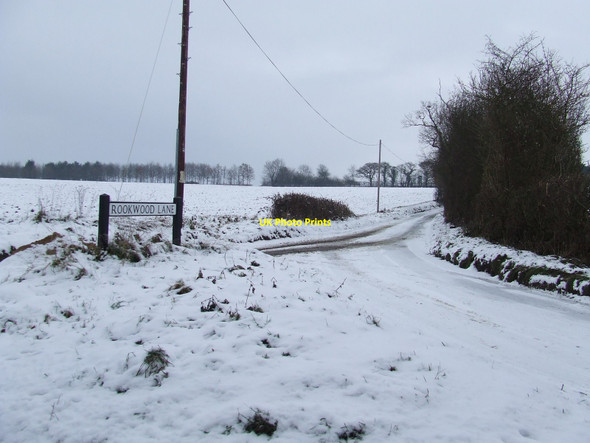 Photo 6"x4" Rookwood Lane Rooksey Green c2010