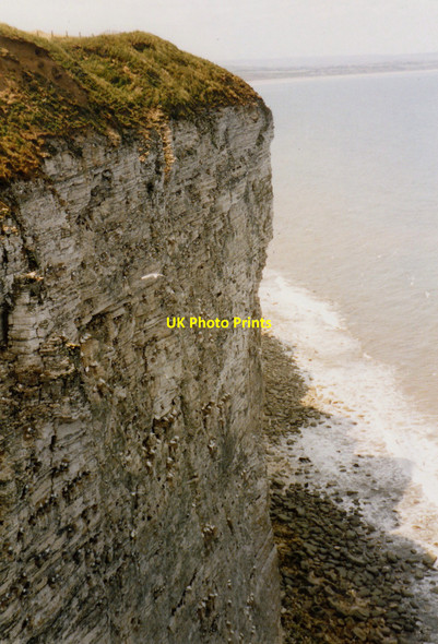 Photo 6"x4" Bempton Cliffs from Jubilee Corner Viewpoint Bempton c1995