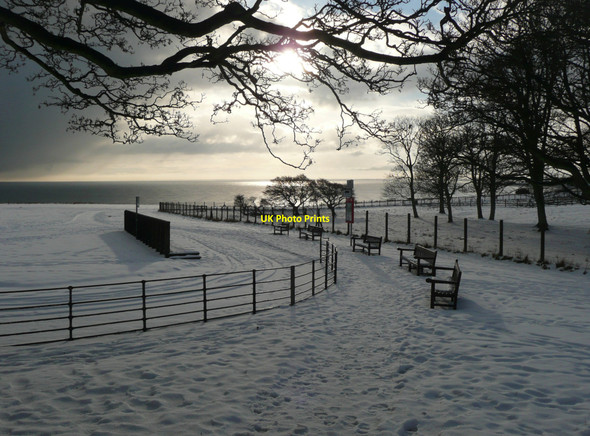 Photo 6"x4" The path from Sewerby Park to the cliff top Bridlington c2010