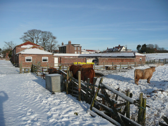 Photo 6"x4" Beacon Farm, Flamborough Flamborough c2010