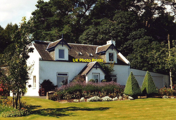 Photo 6"x4" Cottage and garden, Brodick, Arran Brodick c2002