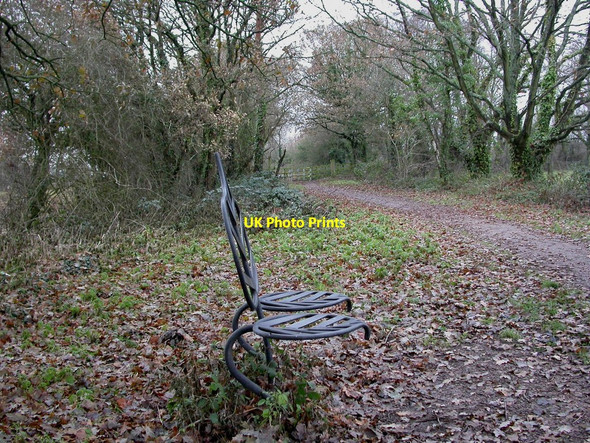 Photo 6"x4" Hightown, double seat Ringwood\/SU1505 c2010