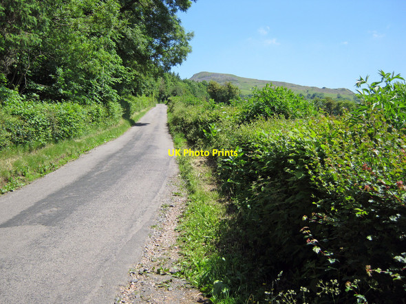 Photo 6"x4" Road to Bedlam Angelbank c2010