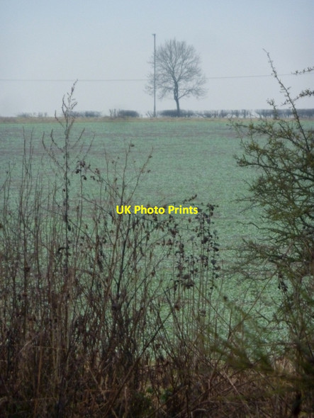 Photo 6"x4" Field on a misty afternoon Bolsover c2010