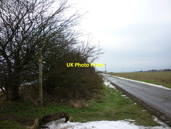 Photo 6"x4" Whin Lane towards South Newbold High Hunsley c2011