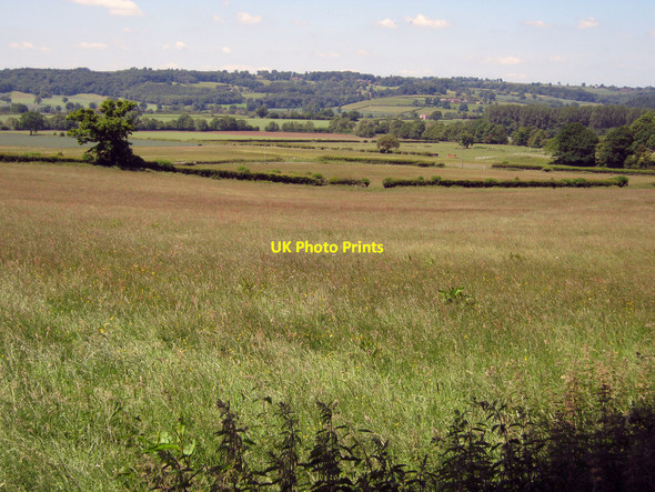 Photo 6"x4" Hay meadows around Middleton Bitterley c2010