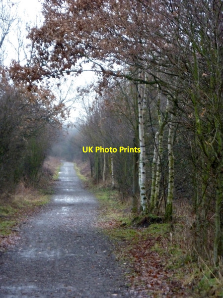 Photo 6"x4" Stockley Trail, looking north Bolsover c2011