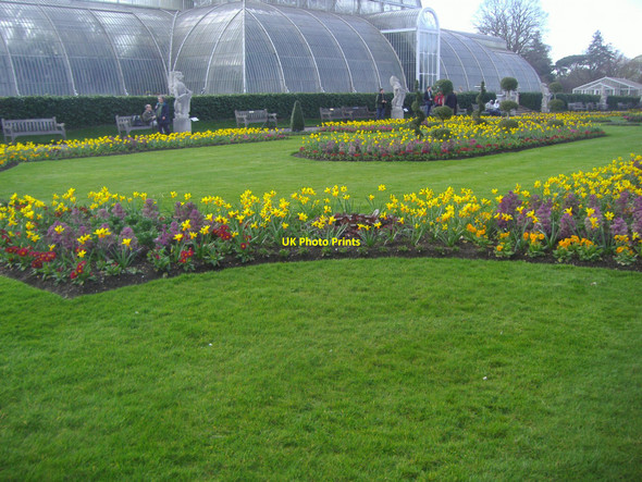 Photo 6"x4" Flowers in front of Palm House, Kew Gardens Brentford c2010