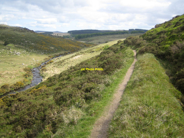 Photo 6"x4" Upper valley of the East Dart Postbridge c2009
