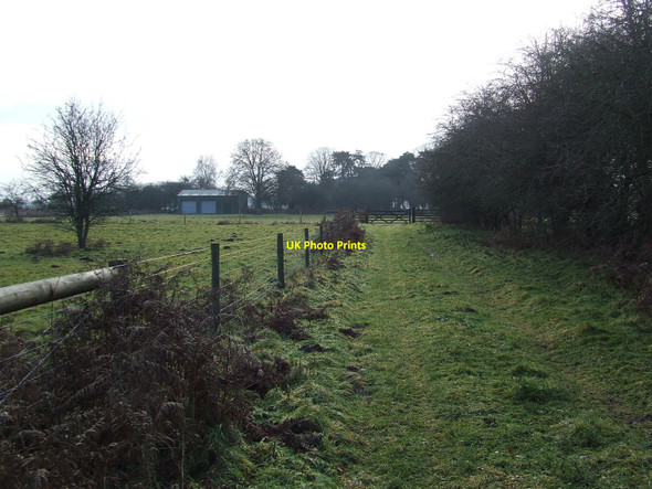 Photo 6"x4" Brettenham Heath Brettenham\/TL9383 c2011