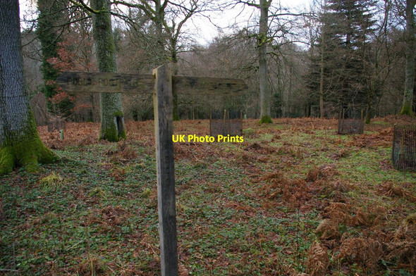 Photo 6"x4" Public footpath crosses Wakehurst Place grounds West Hill\/TQ3230 c2011