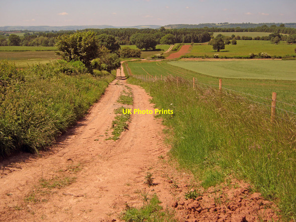 Photo 6"x4" Farm track south of Snitton Snitton c2010