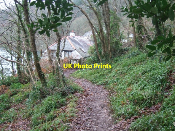 Photo 6"x4" South West Coast path leading to Yealm Passage House Noss Mayo c2010