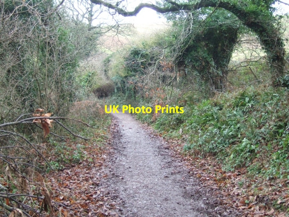 Photo 6"x4" South West Coast path entering Brakehill Plantation Noss Mayo c2010