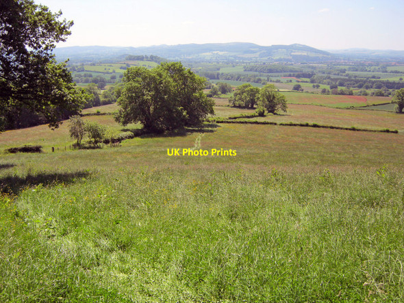 Photo 6"x4" Hay meadows west of Knowbury Knowbury c2010