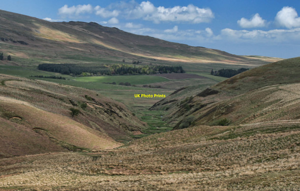 Photo 6"x4" Shank Burn Linhope\/NT9616 c2010