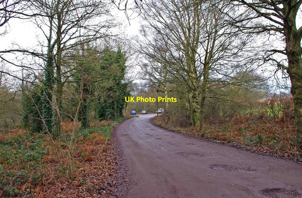 Photo 6"x4" Access road to car park off Whitehouse Lane Gospel Ash c2011