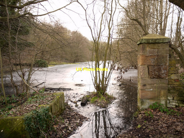 Photo 6"x4" Curling Pond, Ryton Willows Ryton\/NZ1564 c2011