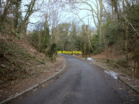Photo 6"x4" Station Bank, Ryton Ryton\/NZ1564 c2011