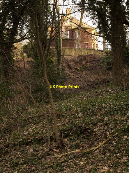 Photo 6"x4" The Grove from Station Bank Ryton\/NZ1564 c2011