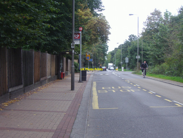 Photo 6"x4" Bus stop on Putney Heath Putney c2008