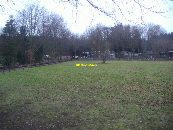 Photo 6"x4" Field in front of the Museum of Rural Life, Tilford Tilford Reeds c2010