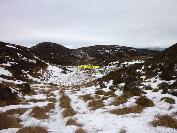Photo 6"x4" Slopes Of Beinn Dearg Port of Menteith c2011