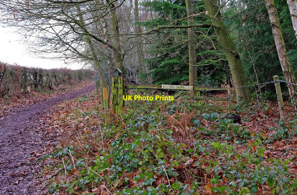 Photo 6"x4" Old gate Gospel Ash c2011