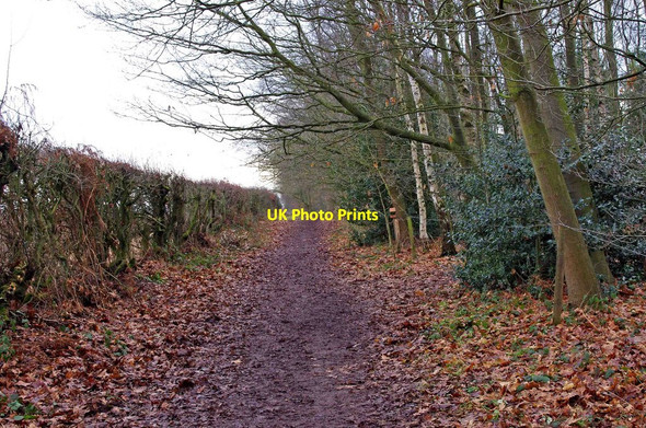 Photo 6"x4" Track from Whitehouse Lane Greensforge c2011