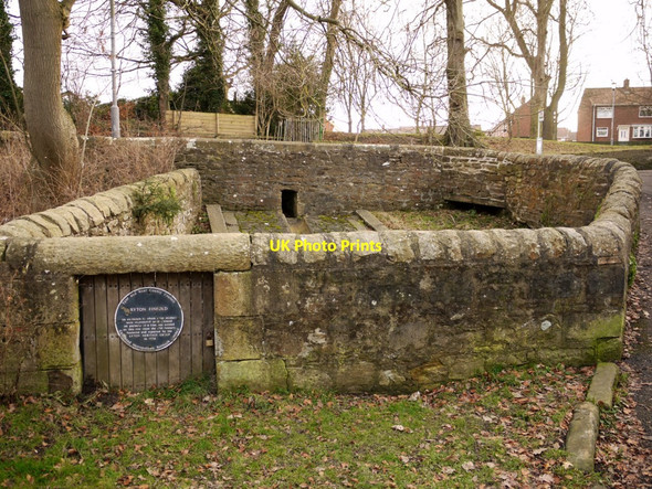 Photo 6"x4" Ryton Pinfold, Barmoor Lane Ryton\/NZ1564 c2011
