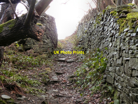 Photo 6"x4" Path from Whittaker Moss to Norden Village Norden\/SD8514 c2011 P1