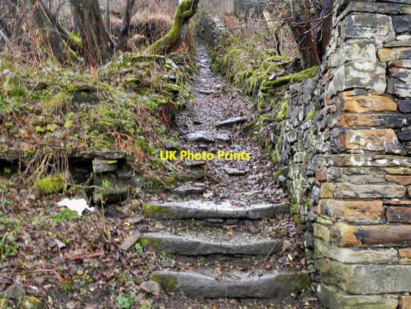 Photo 6"x4" Path from Whittaker Moss to Norden Village Norden\/SD8514 c2011 P2
