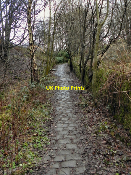 Photo 6"x4" Pack Horse Track Towards Blackpits Norden\/SD8514 c2011