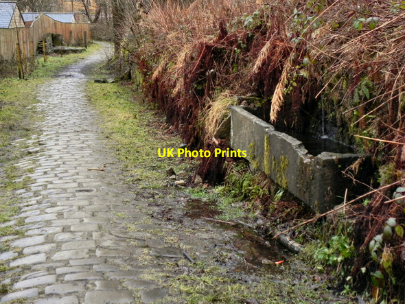 Photo 6"x4" Pack Horse Track Behind Blackpits Road Norden\/SD8514 c2011