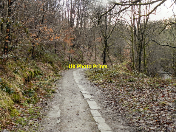 Photo 6"x4" Track Along Naden Brook Norden\/SD8514 c2011