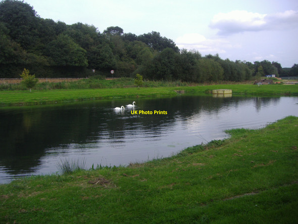 Photo 6"x4" Pond at Kingfisher Farm, Abinger Hammer Abinger Hammer c2008