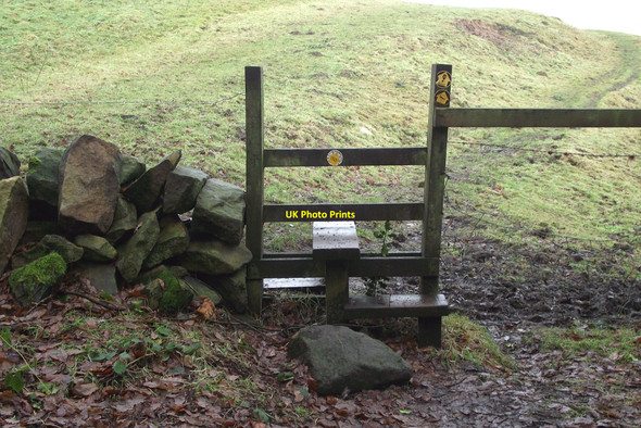 Photo 6"x4" Definitely this way Whitemore c2010