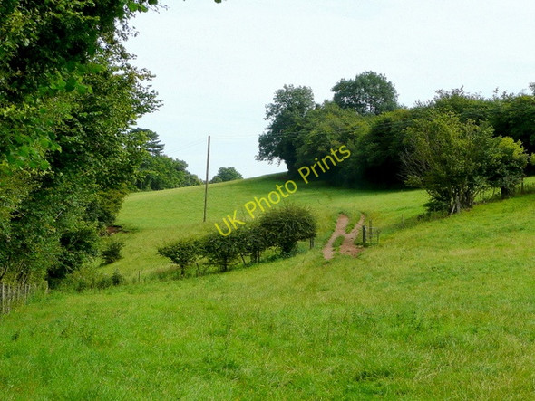 Photo 6"x4" Pastoral scene near English Bicknor English Bicknor c2009