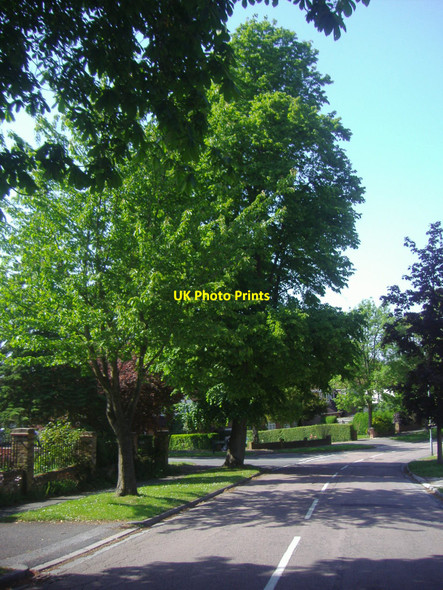 Photo 6"x4" Green Curve, Nork Banstead c2009